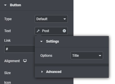 dynamic tags settings